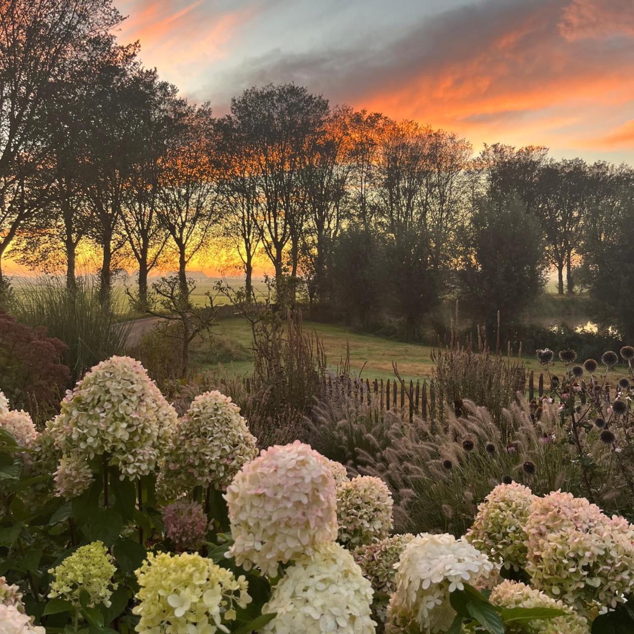 Aan De Hoge Weg Bed & Breakfast Kamperveen ภายนอก รูปภาพ