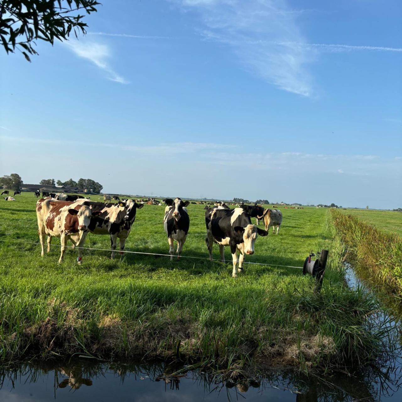 Aan De Hoge Weg Bed & Breakfast Kamperveen ภายนอก รูปภาพ